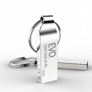 ������ ���� (���� ��� ��)  16GB EVO 