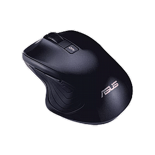 ���� ������ Asus MW202